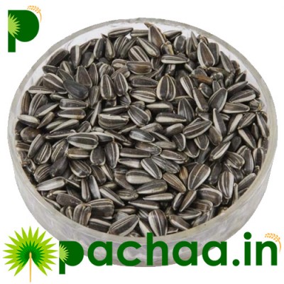 Black Stripper Sunflower Seeds Birds Food Black Stripper Sunflower Seeds Birds Food