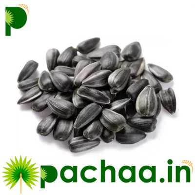 Black Sunflower Seeds Birds Food / Oil Extraction Black Sunflower Seeds Birds Food / Oil Extraction