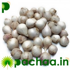 Otha Pal Poondu - Single Clove Garlic (Single Piece Garlic/Fresh Garlic/One Kuli Lehsun/Ek Pothi Lahsun/Garlic)