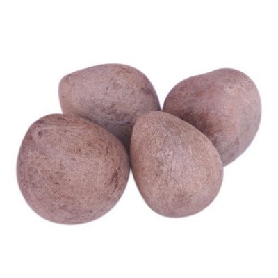 Dry Whole Coconut Copra Dry Whole Coconut Copra