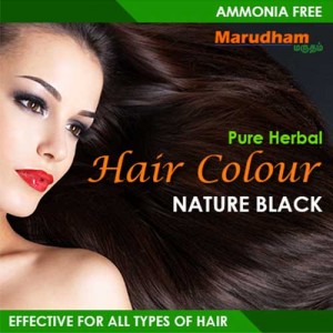Herbal Hair Dye Black Powder 20g - Marudham