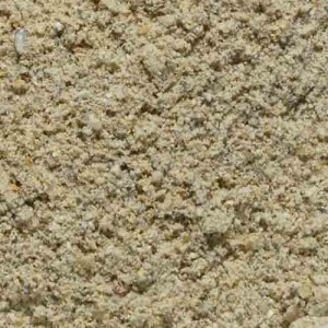 Pearl Millet Flour Wild Bajra  Atta (Kambu Maavu Bajra Gantilu Sajje) W