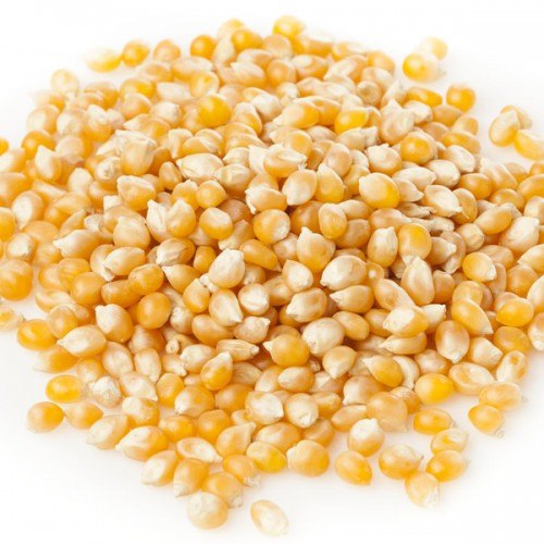 Popcorn Seeds - Maize Makka Cholam (பொரி மக்கா சோள) - IMPORTED