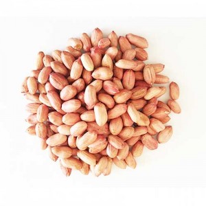 Raw Ground Nut Peanuts Verkadalai W