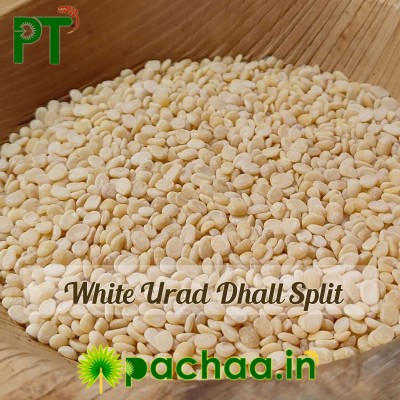 Premium White Urad Dal Split | Ulundhu Paruppu Udaithathu (கருப்பு உளுந்து உடைத்தது) – Fresh & Pure | Chennai | India Premium White Urad Dal Split | Ulundhu Paruppu Udaithathu (கருப்பு உளுந்து உடைத்தது) – Fresh & Pure | Chennai | India