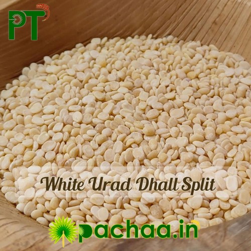 Premium White Urad Dal Split | Ulundhu Paruppu Udaithathu (கருப்பு உளுந்து உடைத்தது) – Fresh & Pure | Chennai | India Premium White Urad Dal Split | Ulundhu Paruppu Udaithathu (கருப்பு உளுந்து உடைத்தது) – Fresh & Pure | Chennai | India
