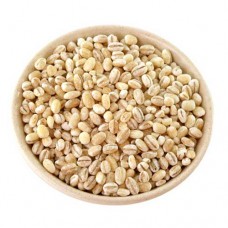 Barley / Jau / Vaarkothumai