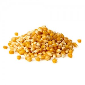 Yellow Corn Makka Cholam (மக்கா சோளம்) W