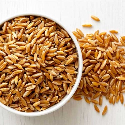 Khapli Emmer Wheat (சம்பா கோதுமை) W Khapli Emmer Wheat (சம்பா கோதுமை) W