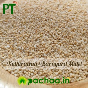 Barnyard Millet Rice (Kuthiraivali Arisi) W Barnyard Millet Rice (Kuthiraivali Arisi) W