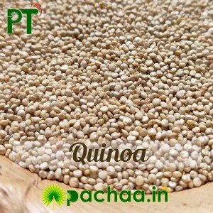 Quinoa Seeds W