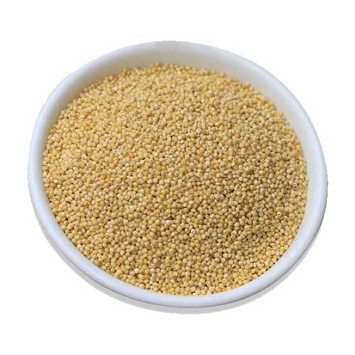 Foxtail Millet Rice (Thinai Arisi Kangni Korra Navane Thina) W
