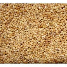 Kuruvi Thinai 1Kg - Bird Feed Foxtail