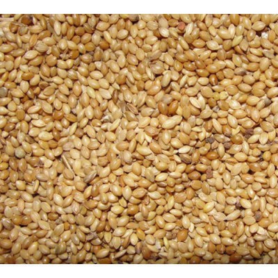 Kuruvi Thinai 1Kg - Bird Feed Foxtail