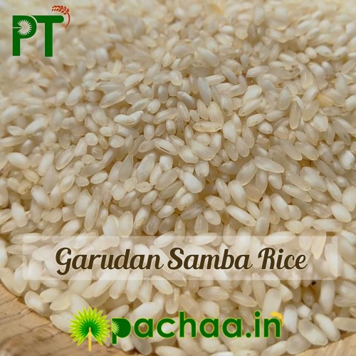 Garudan Samba Rice – Premium Traditional South Indian Rice (கருடன் சம்பா அரிசி) Garudan Samba Rice – Premium Traditional South Indian Rice (கருடன் சம்பா அரிசி)