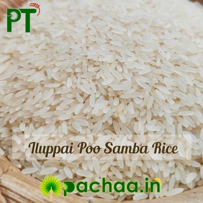 Illuppai Poo Samba Rice Raw (இலுப்பைப்பூ சம்பா அரிசி)