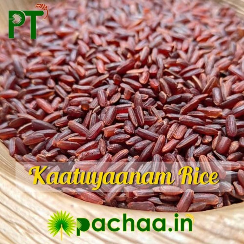 Kaattu Yanam Rice W Kaattu Yanam Rice W