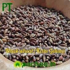 Premium Black Wheat (Kala Gehun)  (கறுப்பு கோதுமை) – High-Fiber Healthy Atta | Chennai | India
