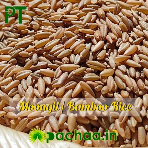 Bamboo Rice Moongil Arisi (மூங்கில் அரிசி) W Bamboo Rice Moongil Arisi (மூங்கில் அரிசி) W