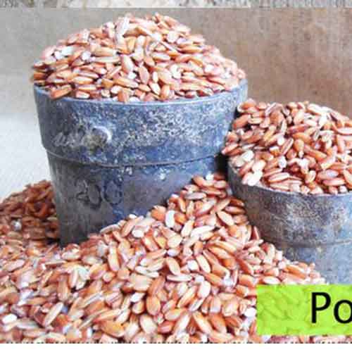 Poongar Boiled Rice W