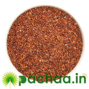 Red Quinoa Seeds W