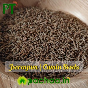 Cumin Seeds Jeeragam (சீரகம்)