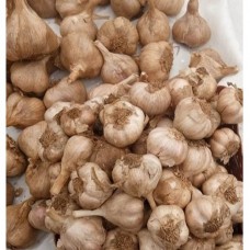 Mountain | Hill  Garlic (மலை பூண்டு) 
