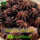 Star Anise Anashuppu Ananas Flower