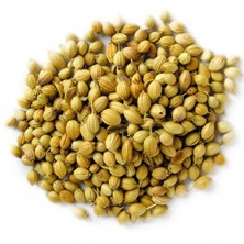Coriander Seeds Dhaniya (தனியா) W
